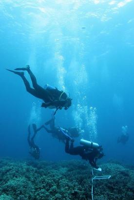 SCUBA Diving at UH Hilo